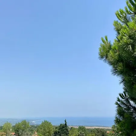 Olympic View Apartment *